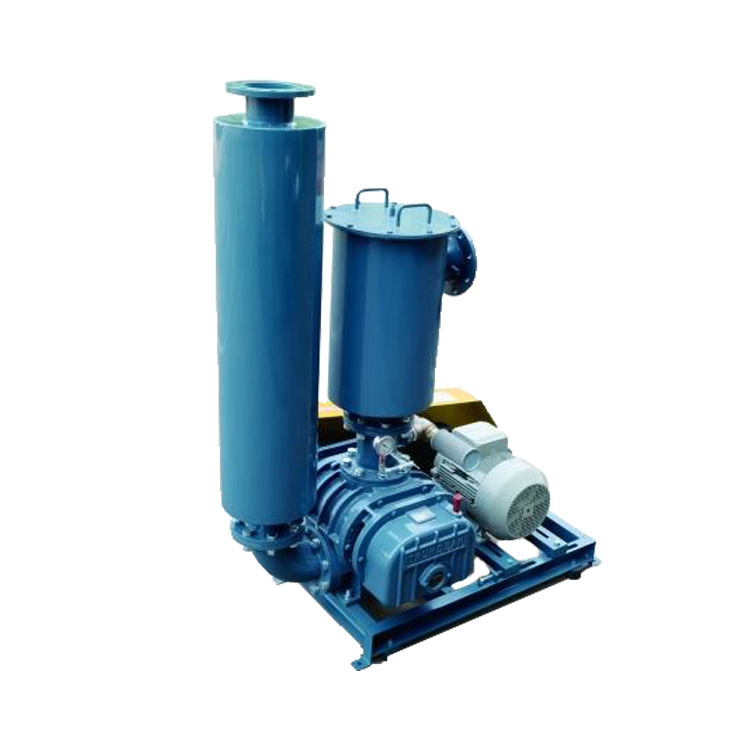 春鼎THV型真空羅茨鼓風(fēng)機(jī)